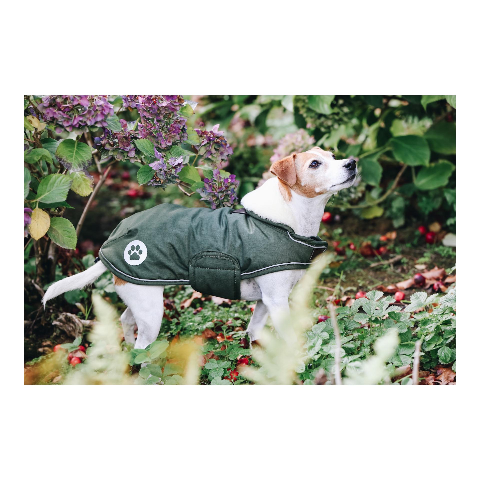 Kentucky Dogwear Hundemantel wasserdicht 300g - olive green