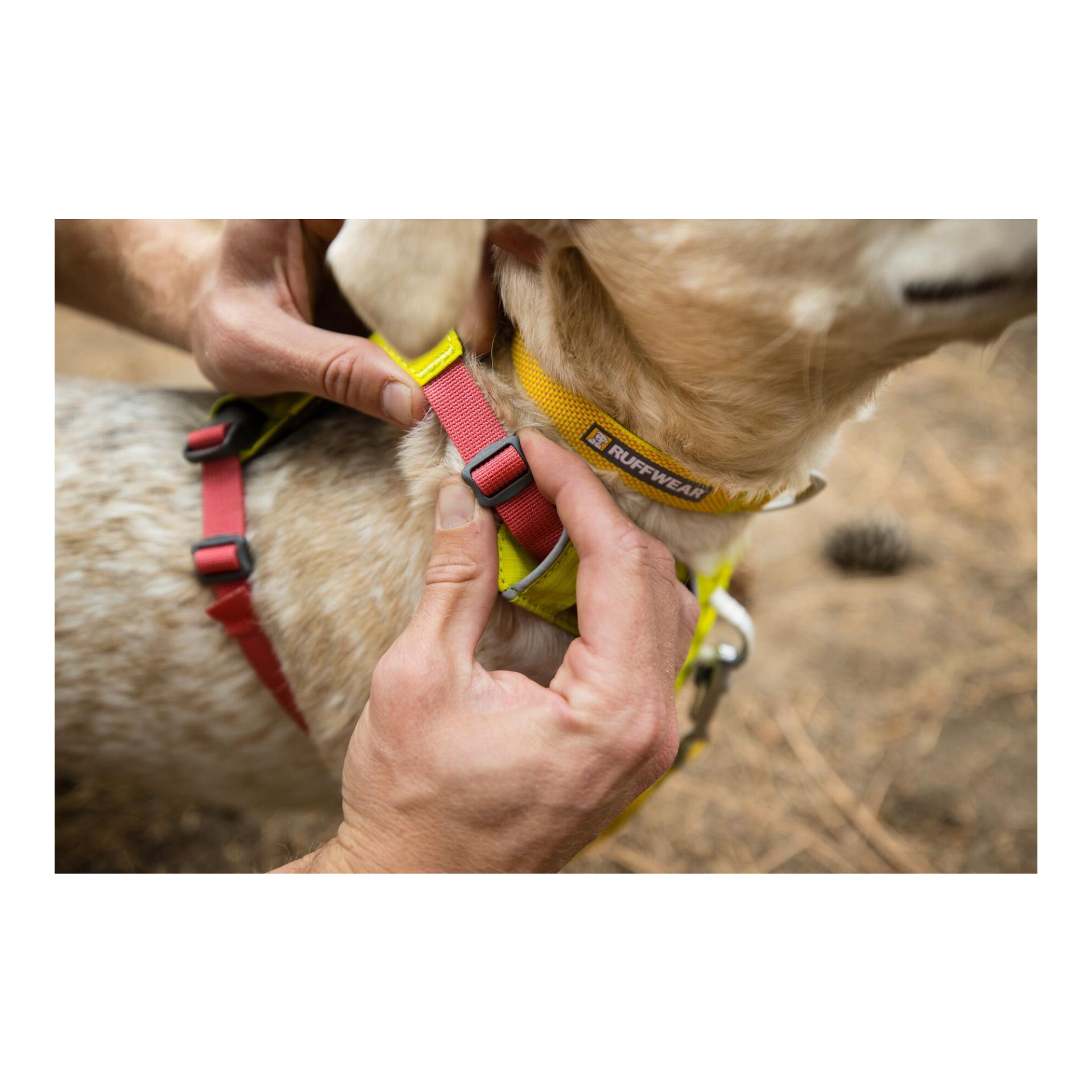 Ruffwear Hi & Light™ Geschirr