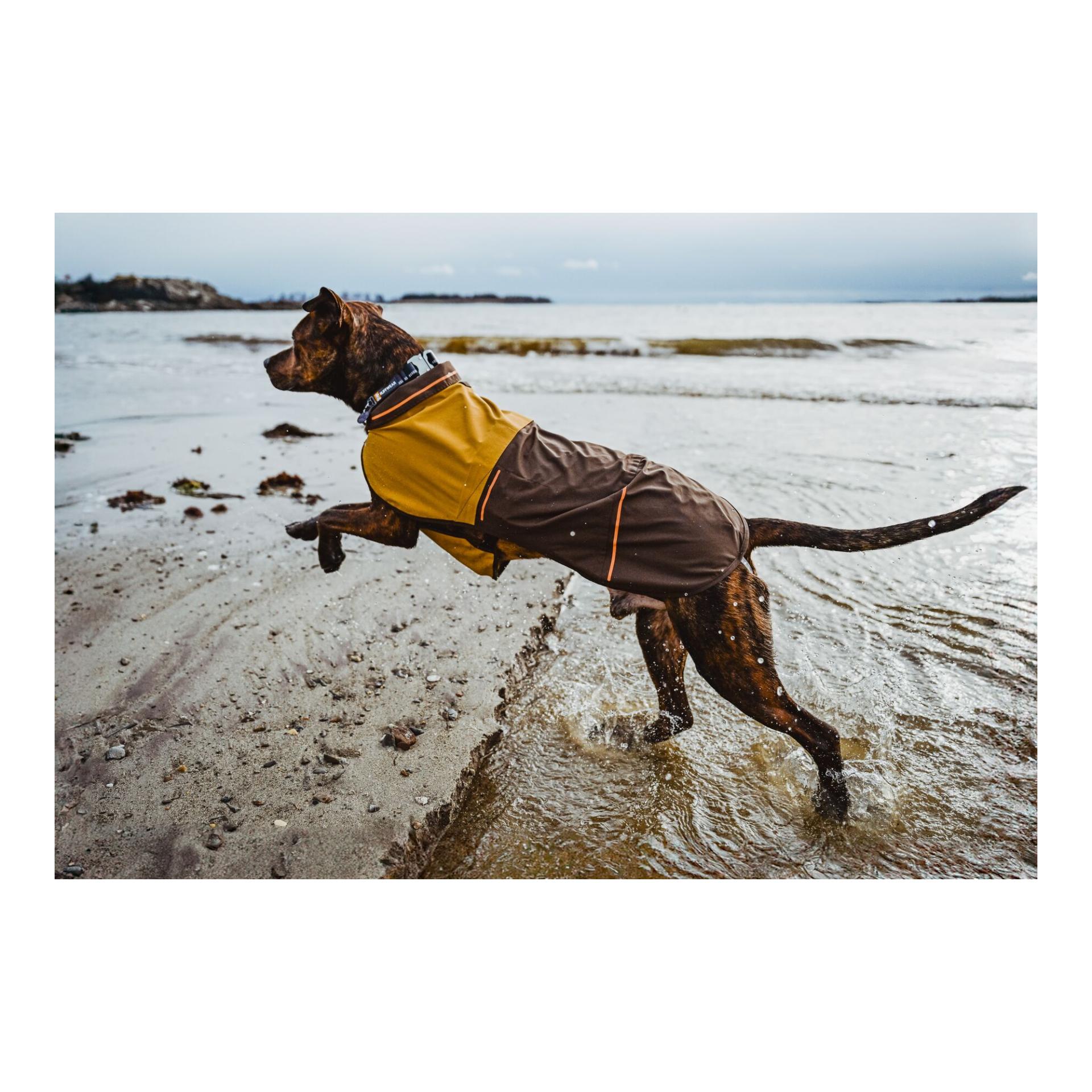 Ruffwear Manteau pour chien Sun Shower Jacket