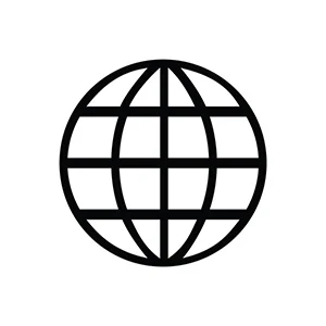 icons RS_0000_website icon
