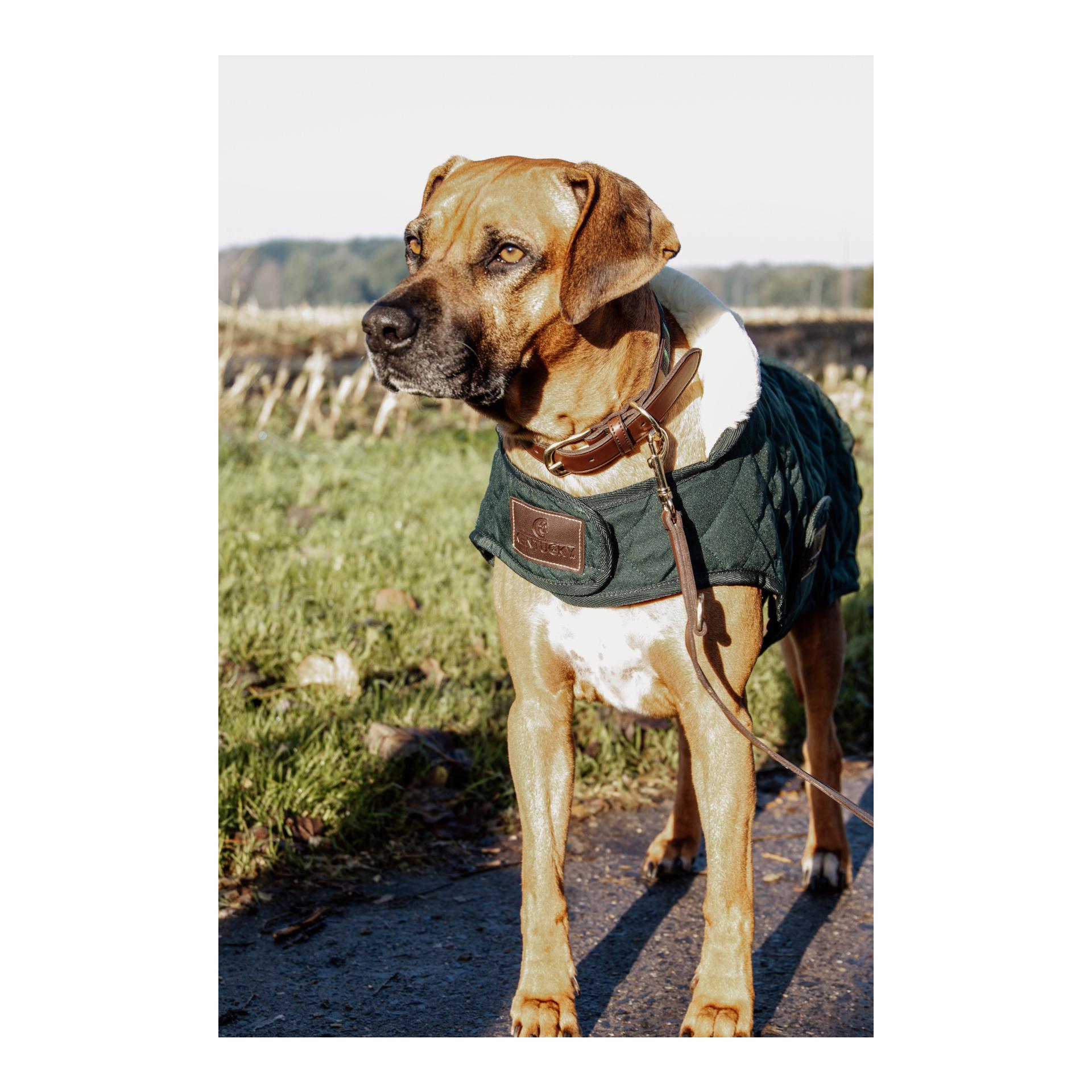 Kentucky Dogwear Manteau pour chien Original - vert foncé