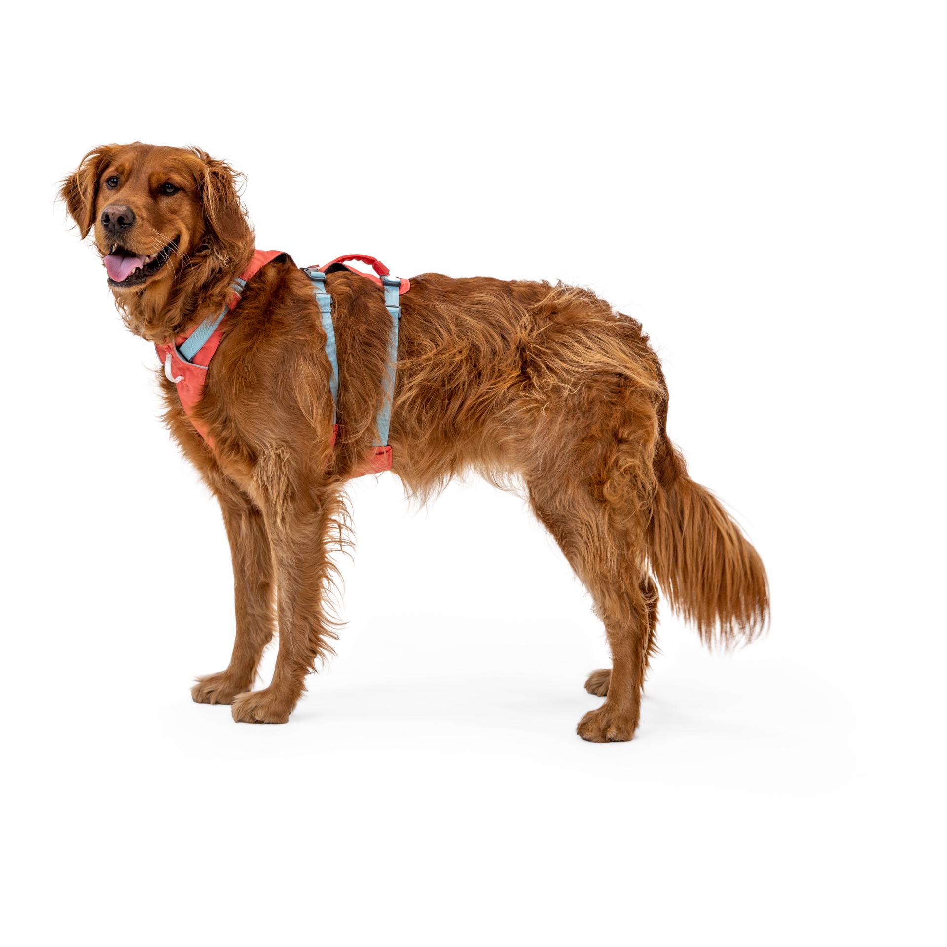Ruffwear Flagline™ Hundegeschirr