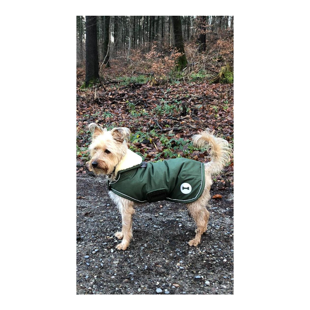 Kentucky Dogwear Hundemantel wasserdicht 300g - olive green