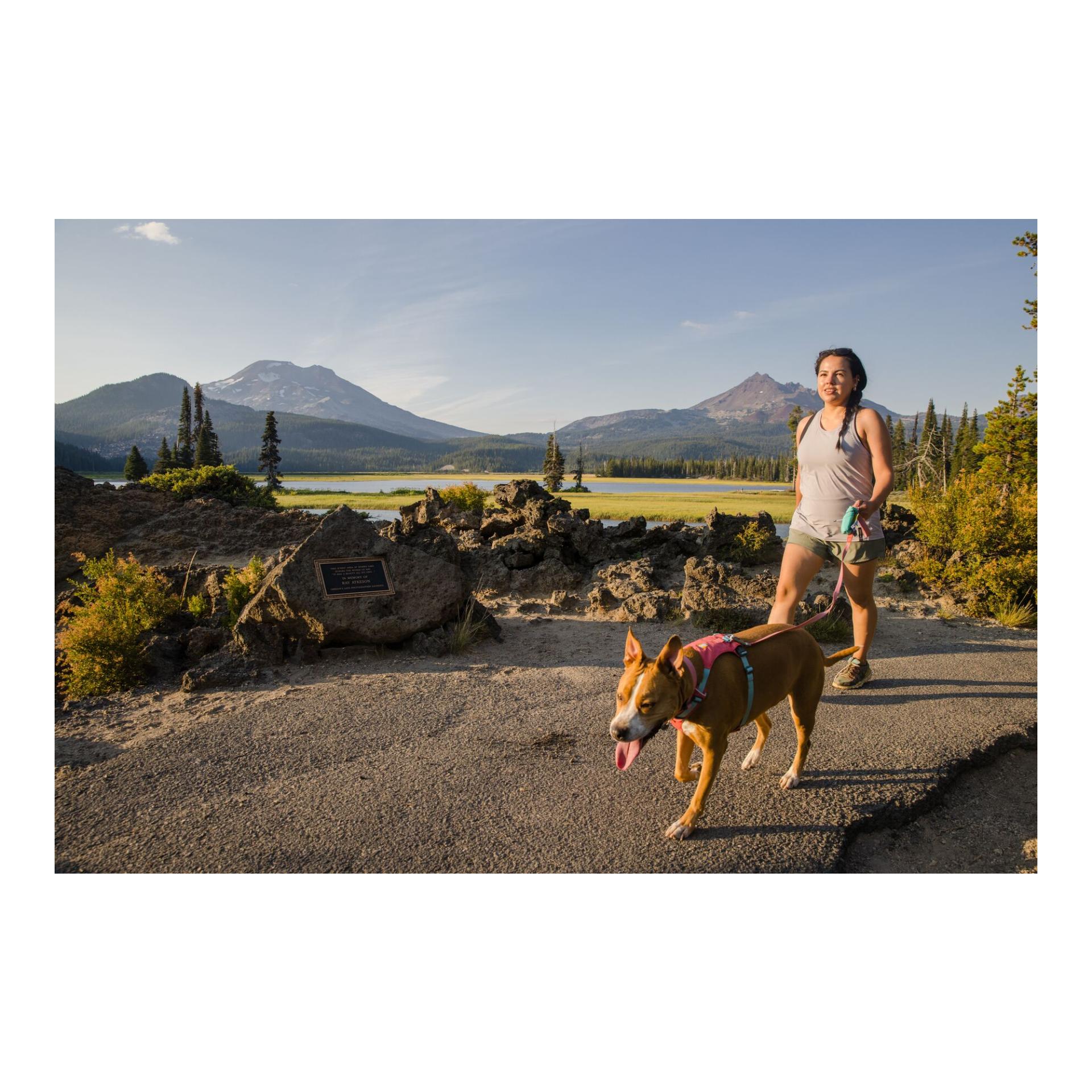 Ruffwear Stash Bag Mini™ Kotbeutelspender