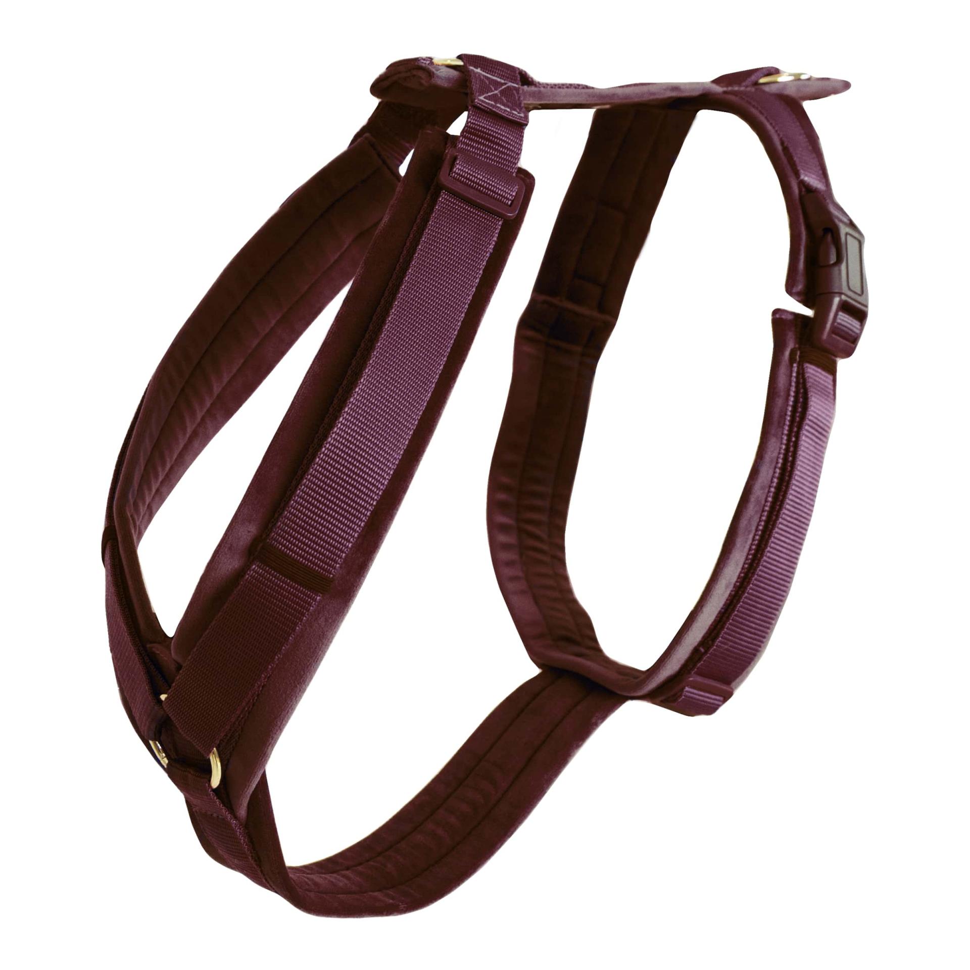 Kentucky Dogwear Hundegeschirr Active Velvet