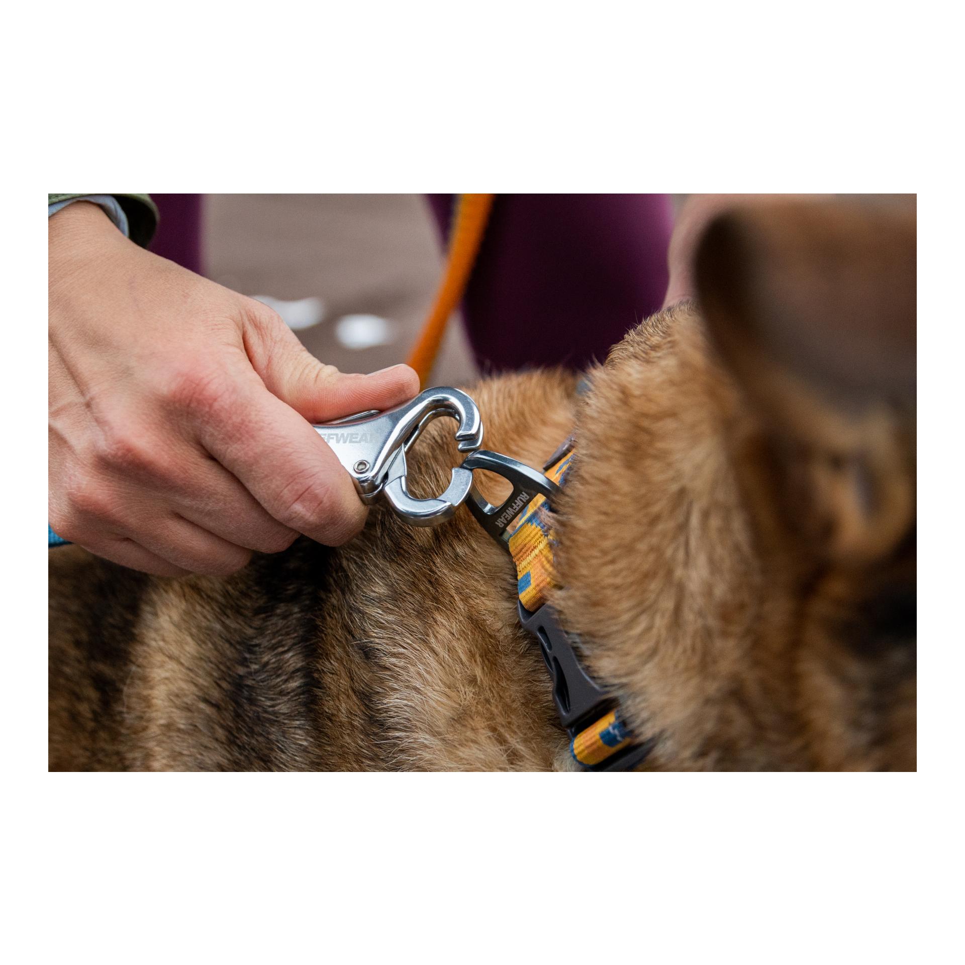 Ruffwear Laisse de jogging Roamer Bungee