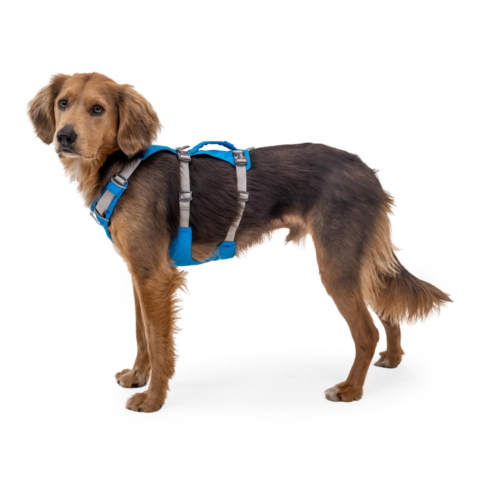 Ruffwear Flagline™ Hundegeschirr