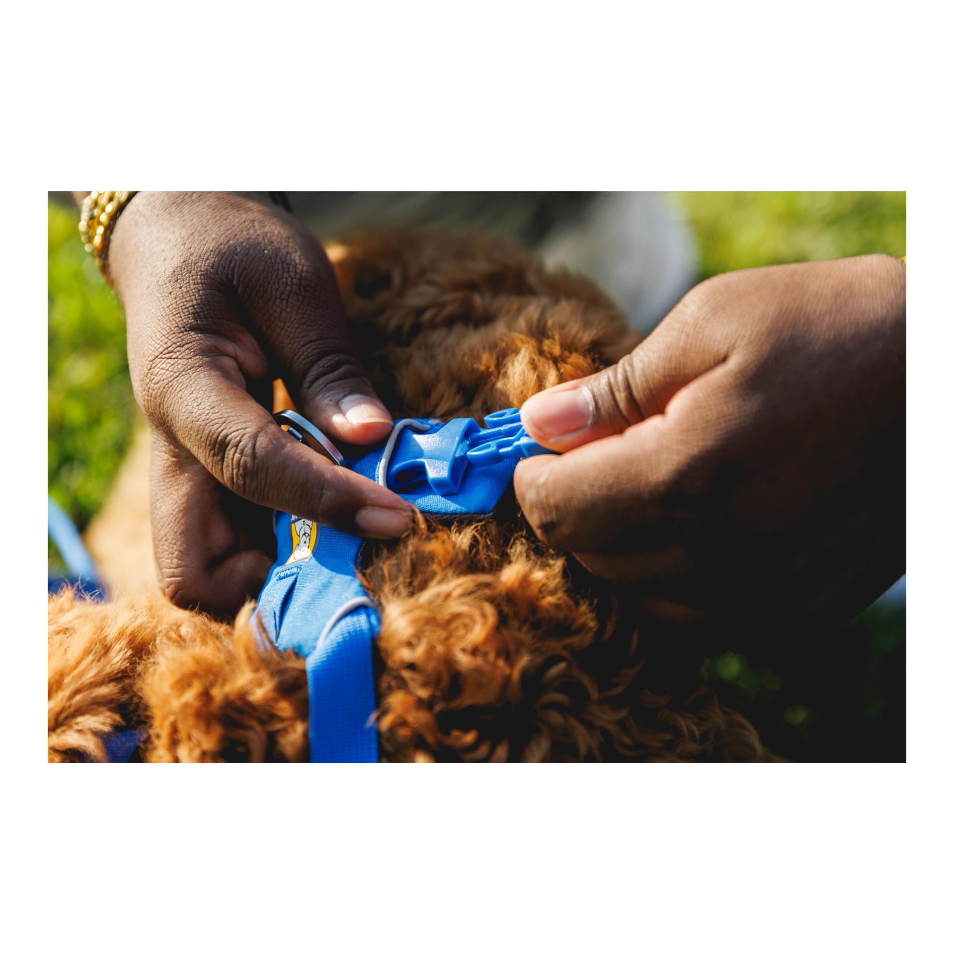 Ruffwear Front Range® Hundegeschirr