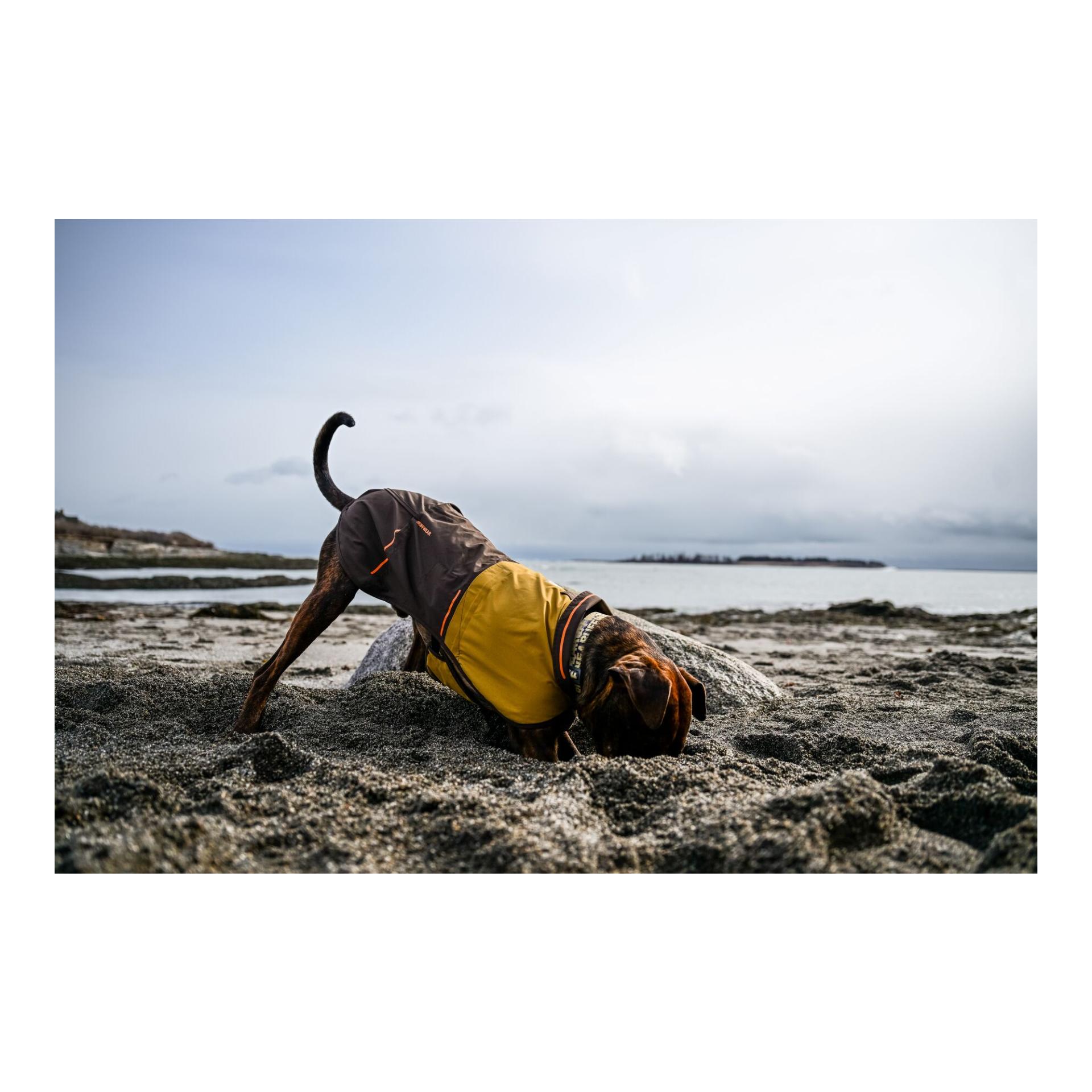 Ruffwear Manteau pour chien Sun Shower Jacket