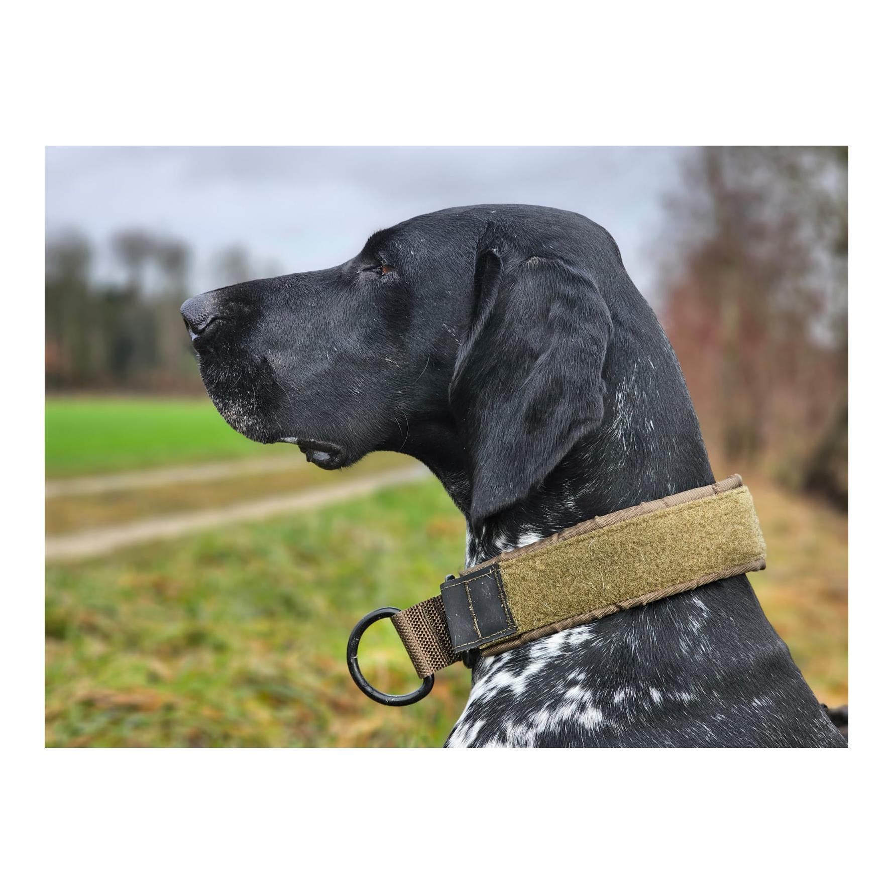 Non-stop Dogwear Hundehalsband Solid Collar Working Dog