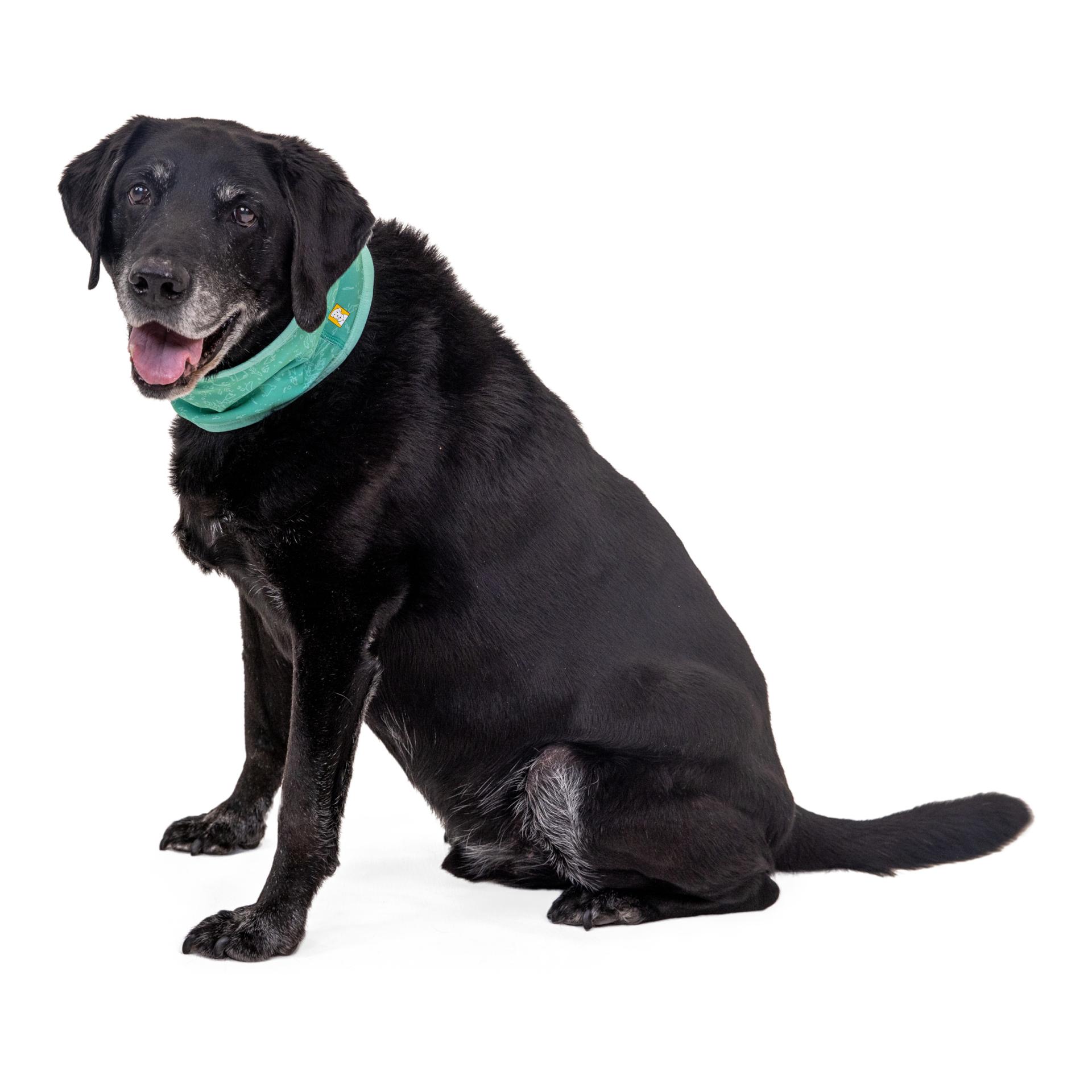 Ruffwear Foulard Swamp Cooler Zip™